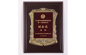 《廣東省企業(yè)品牌建設促進(jìn)會(huì )》榮譽(yù)證書(shū)