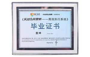 實(shí)站全網(wǎng)營(yíng)銷(xiāo)--高效執行系統