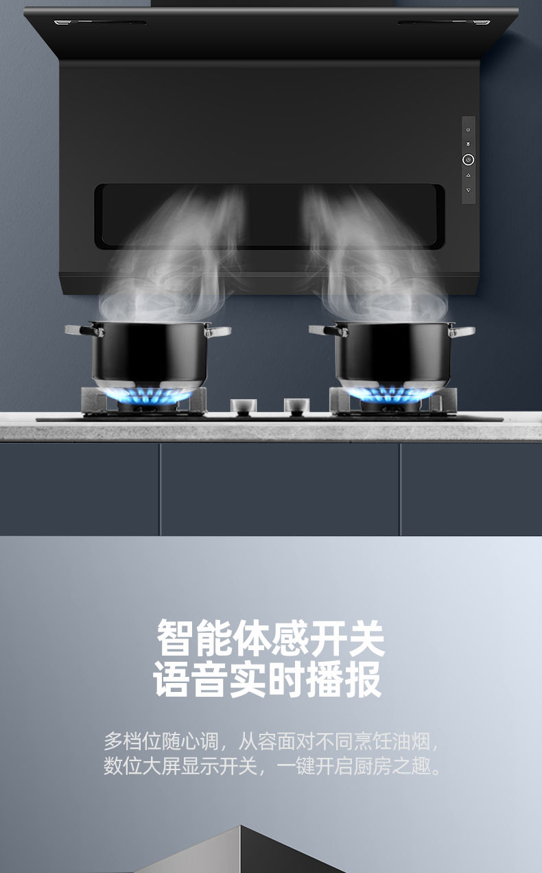 晨風(fēng)TA19詳情頁(yè)_04